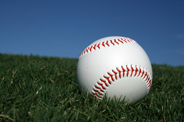 Baseball in Grass