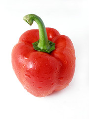 wet pepper