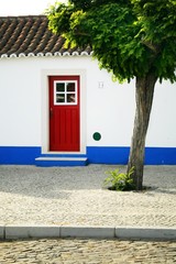 Traditional house