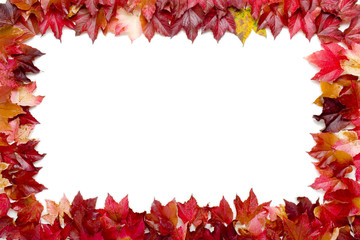 Herbst Blätter