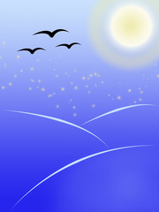 birds flying at night