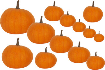 13 pumpkins