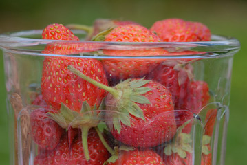 fraises