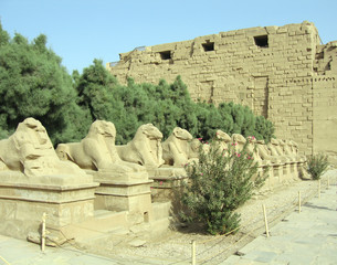 Avenue of ram-headed sphinxes