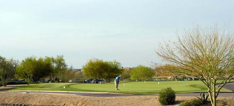 Man Golfing