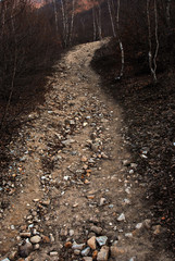 path of stones