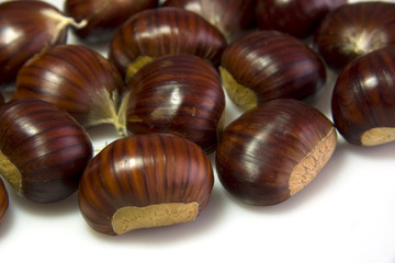 castagne marroni
