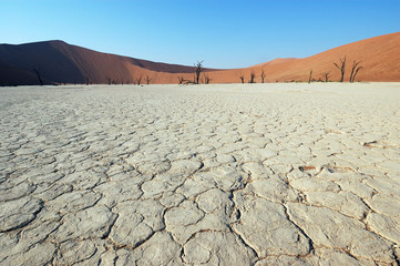 White Desert - Deadvlei, Sossuvlei