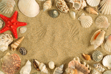 Seashell frame