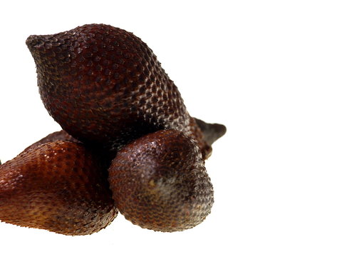 salaks palmfrucht