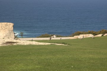 Parque
