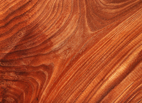 Wood Texture