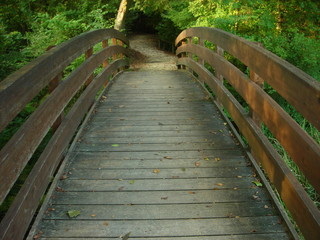 ponte nel parco
