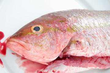 Fresh Fish