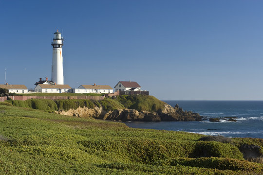 Pigeon Point Lighthouse, green flora, and Pacific ocean