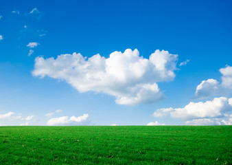 green grass with bright blue sky