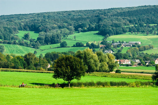 farmland landscape