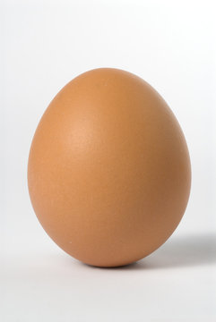uovo eretto 2