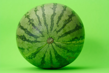 water-melon
