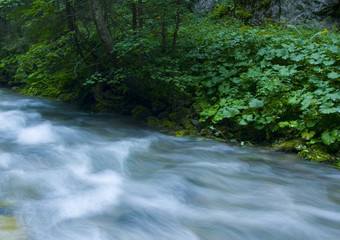 National Park in Tatry (Poland)