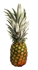 Fototapeta premium Isolated Hawaiian Pineapple