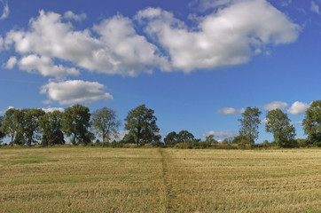 Obraz premium cotswolds