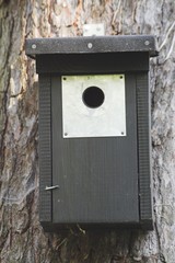 Nistkasten