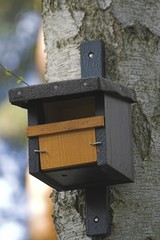 Nistkasten