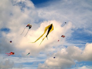 Kite Festival - Yellow & Black Twin tail 