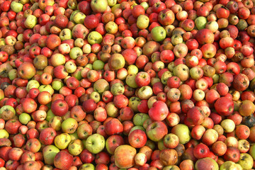 Mostäpfel