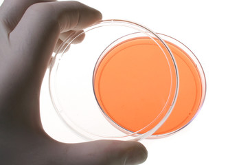 Petri dishes for medical research