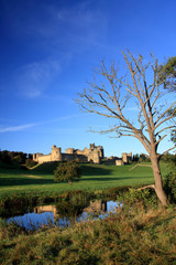 Fototapeta premium Alnwick Castle