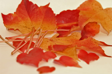 Herbst