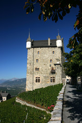 Fototapeta na wymiar Chateau de Susten
