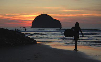 Sunset Surfer