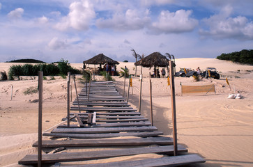 Natal Oasis