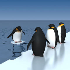 Obraz premium penguins