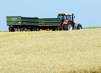 Traktor auf dem Getreidefeld