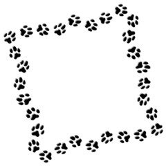 cadre empreintes relief