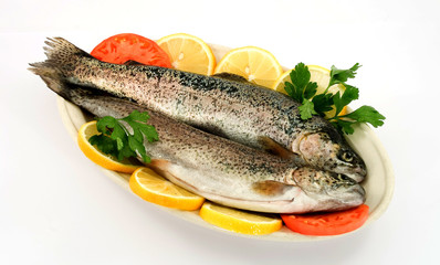 fish