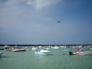 Boats Gathered at Island on Holiday