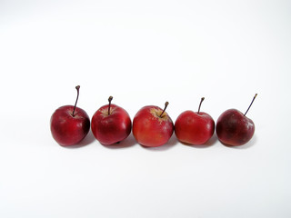 Small apples