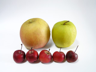 Apples
