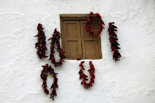 pimientos al sol