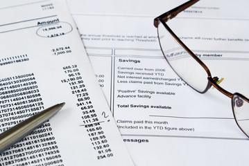 Checking credit card and medical aid statments