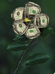 growing money