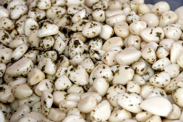 Garlic