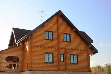 Obraz premium The new house from a tree