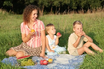 family on picnic