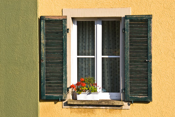 Fenster mit Blume